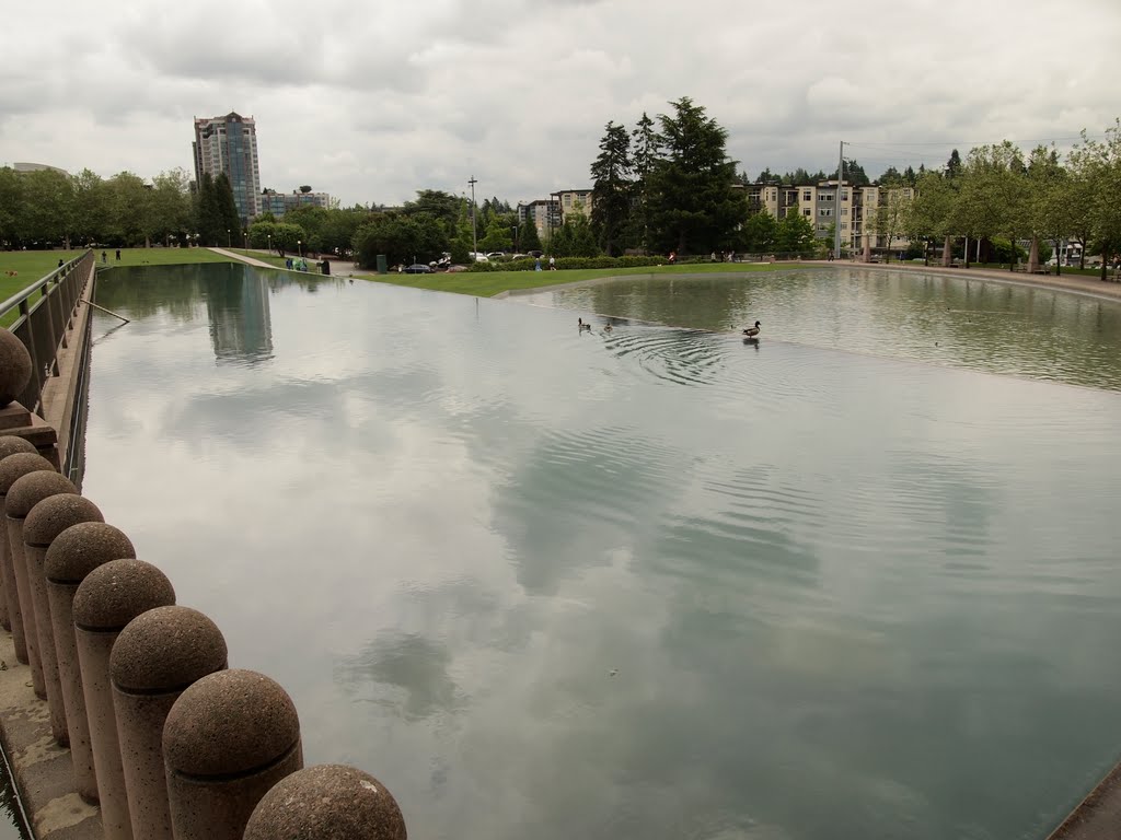 Downtown Bellevue Park by amc1980