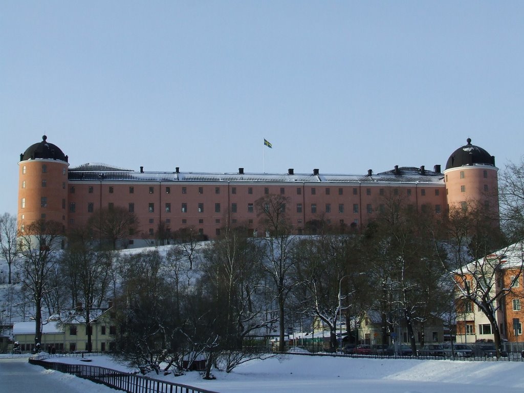 Picture of the Uppsala Castle by slauzel