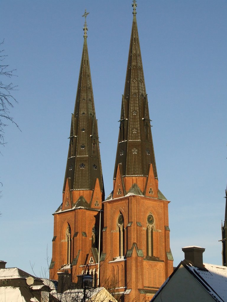 Picture of the Cathedral by slauzel