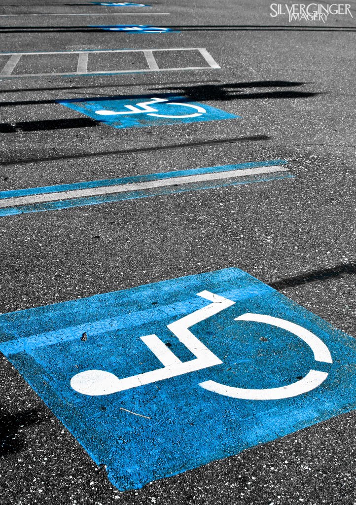 Disabled Only by Lee Gill