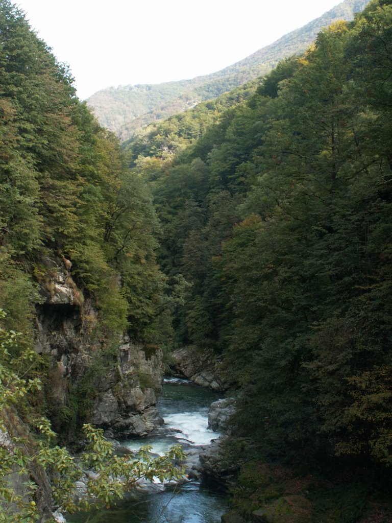 Isorno-Schlucht bei Mosogno by Frank Pustlauck