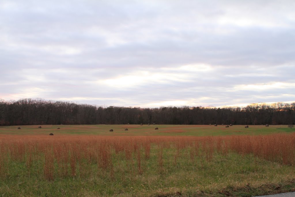 Field ... by Phillip Datcher