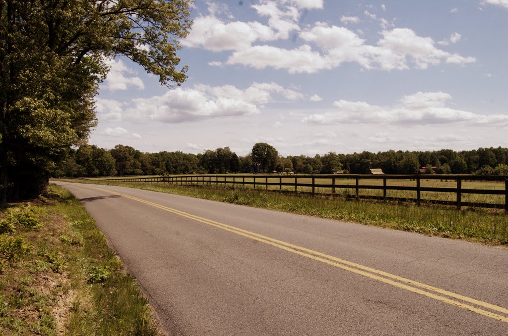 Virginia County Road by Grant Gardner