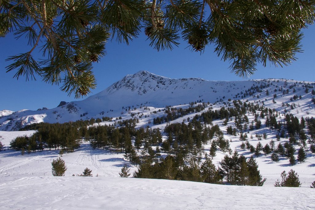 Pico Lago by La Casa del Chiflón (Bulnes)