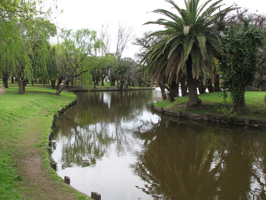 Palmeras Del Parque by EzeFerLarra