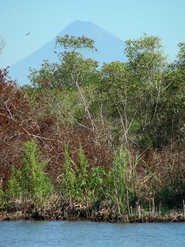 Vulcano di Antigua visto da laguna sul Pacifico by Baronchelli Marco