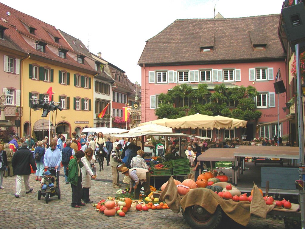 STAUFEN by H.Blum