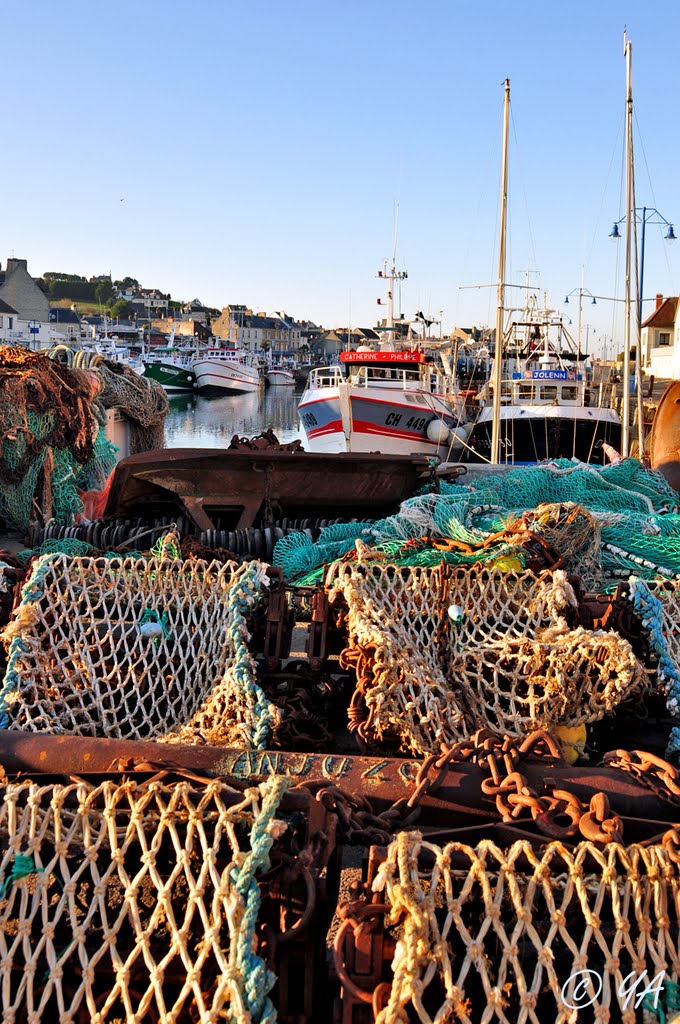 Port-en-Bessin : Tout pour la pêche. by Y. A, Villyssois.