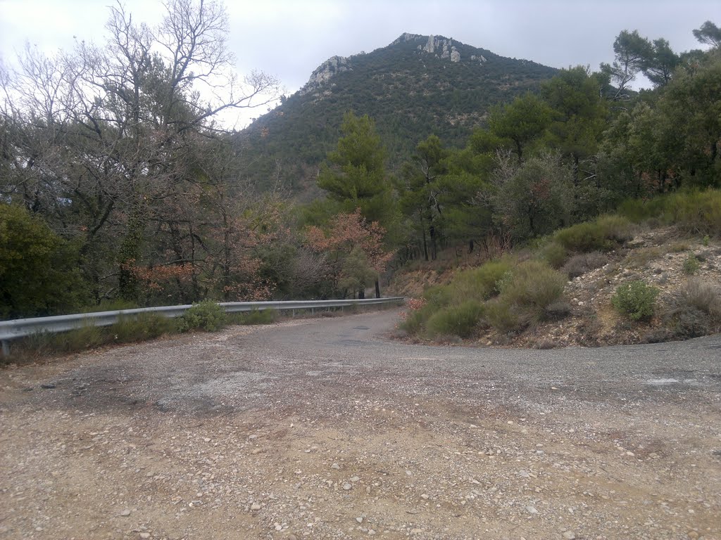 La Roquebrussanne - Route d'accès montagne de la Loube by GEOPIX