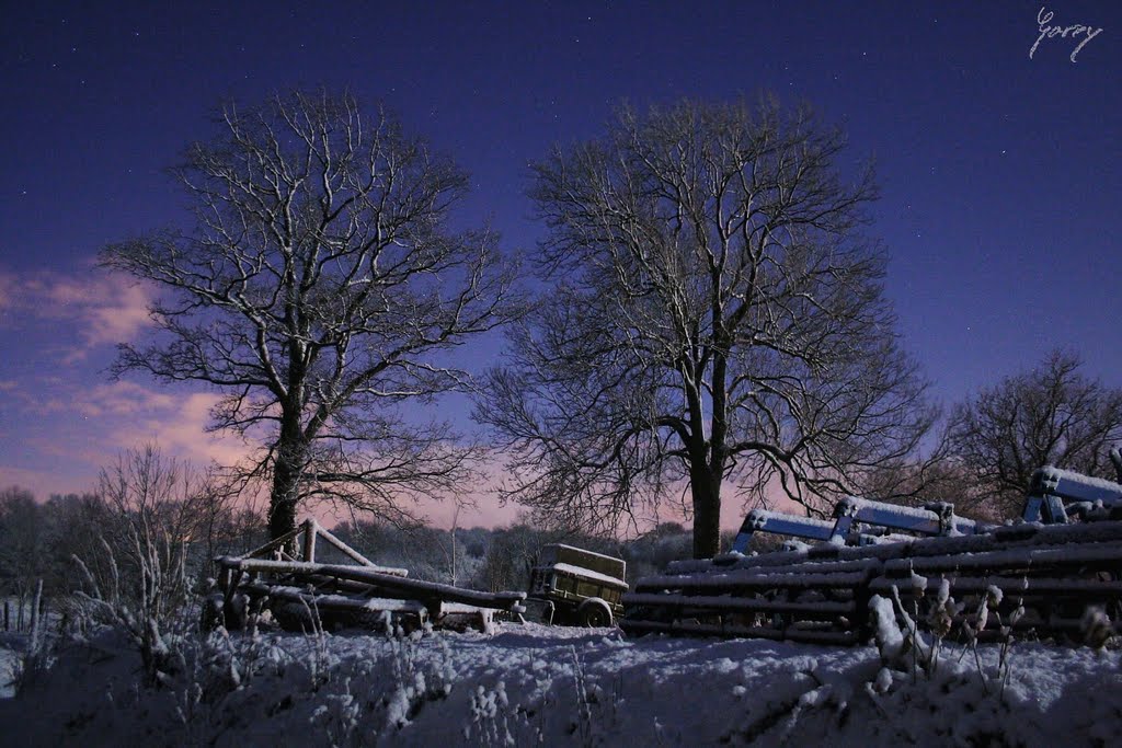 Sous la Lune et la neige by Garry Wasikowski