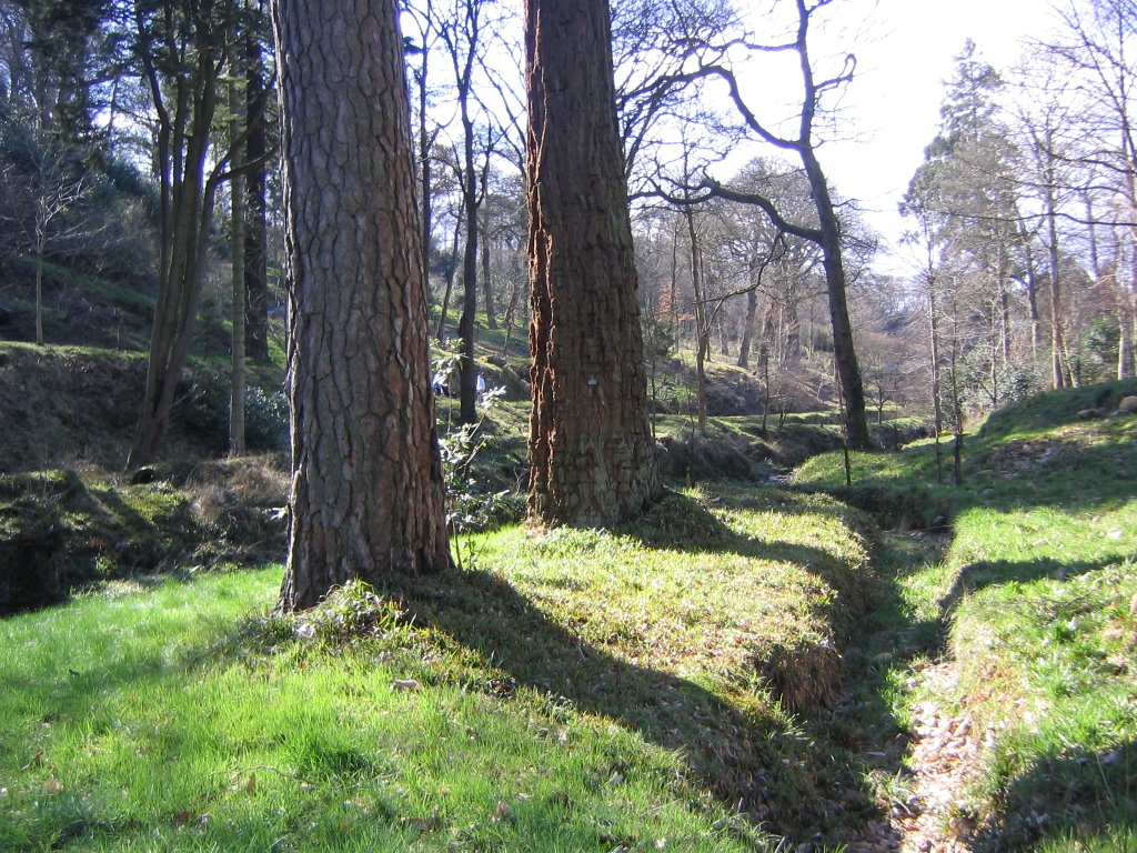 Private estate in the Lune Valley by Lesley Rigby