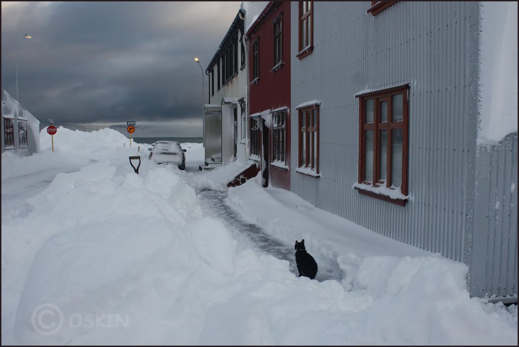 Beautiful day after the storm by Ómar Smári Kristinsson