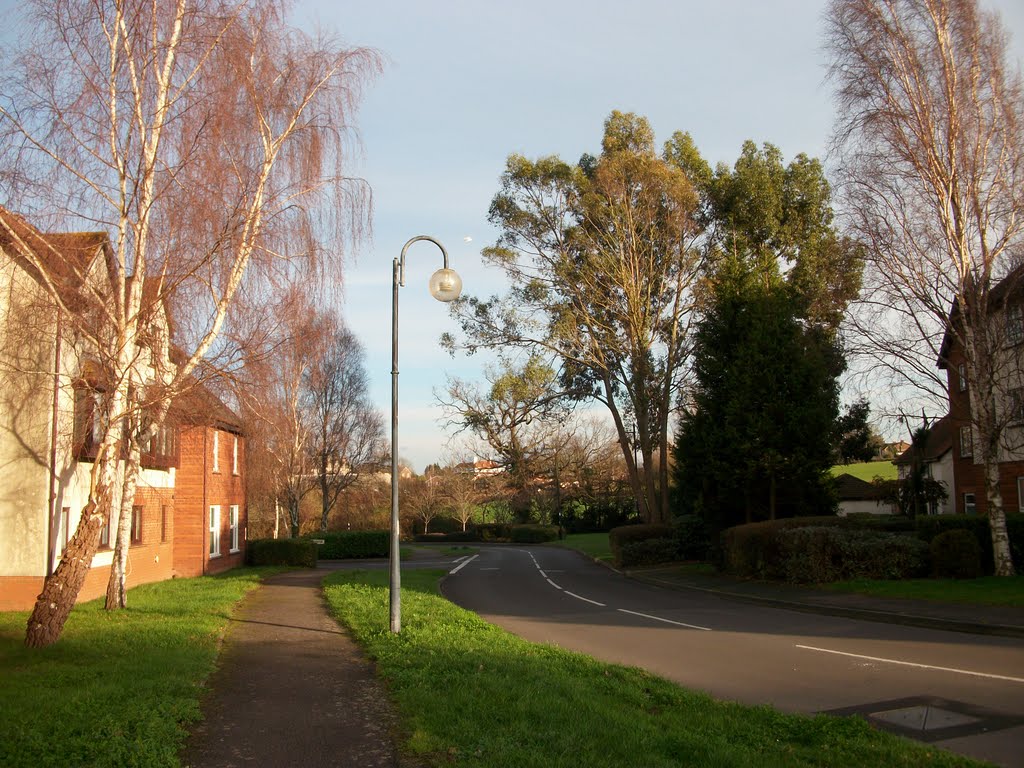 College Way Galmington Taunton Somerset by heloise121