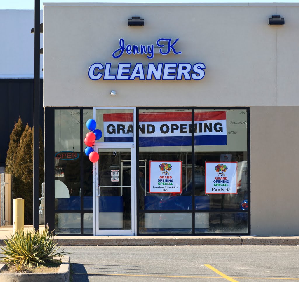 Jenny K. Cleaners by Joesaman