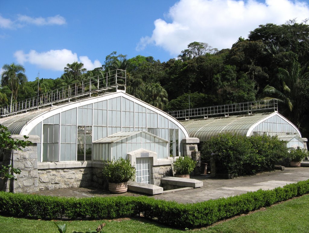 Jardim Botânico, São Paulo, SP, Brasil. by André Bonacin