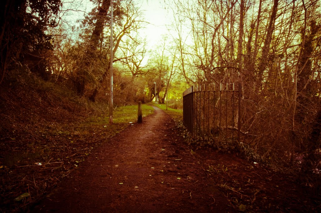 Westbound path on South bank of Malpas Brook, Bettws Newport by Nigel Desmond