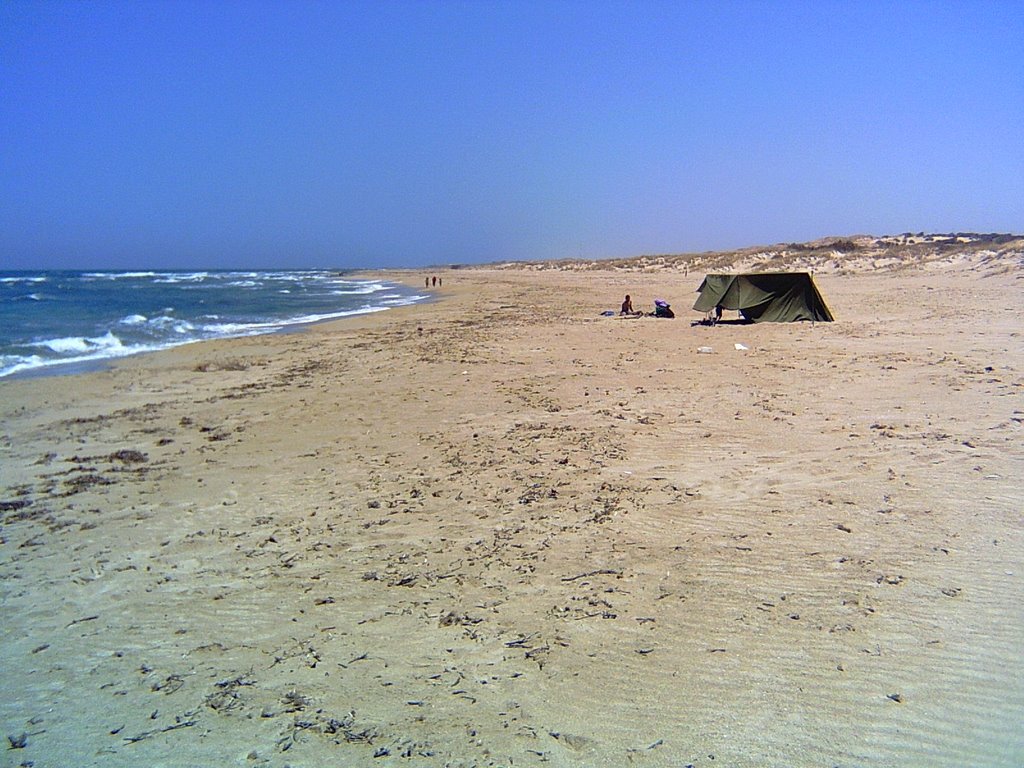 Misurata, coast. by Aleksandr Reshtanenk…