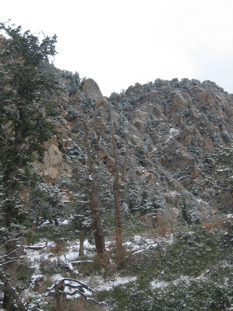 South Summit of Mt Olympus by John Bartlett