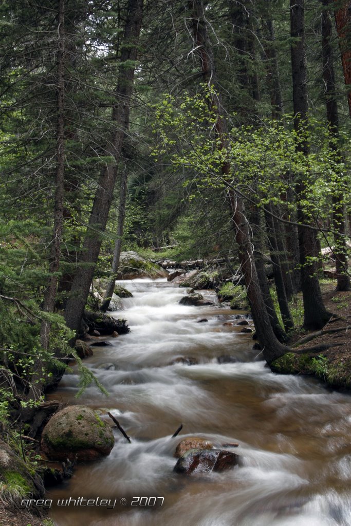 Wigwam creek near deckers colorado by greg  Whiteley