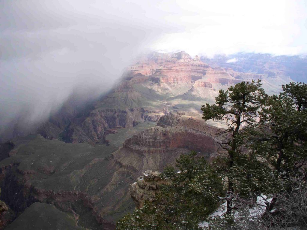 Grand Canyon snow by daiglet38