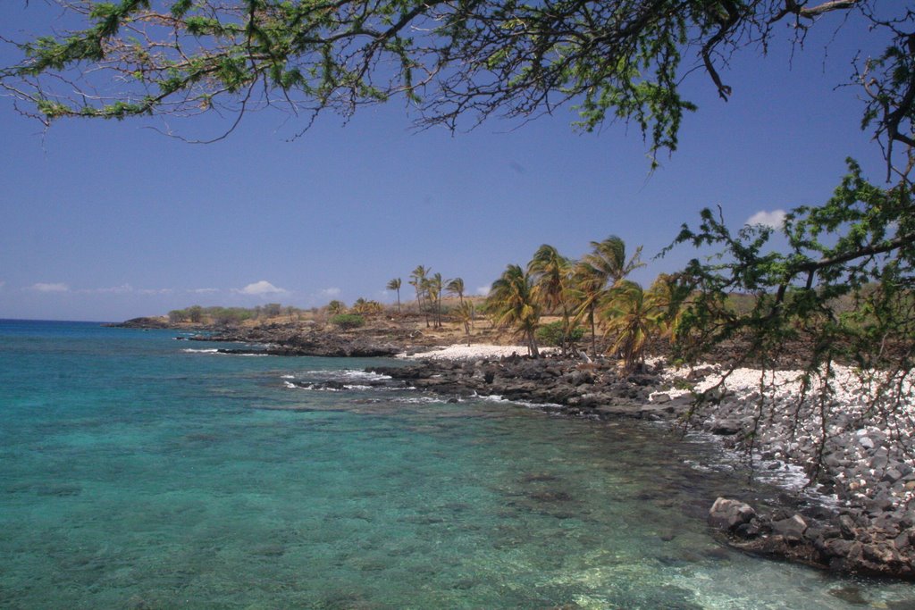 Lapakahi - Sacred beach , Hawaii by alvenegas