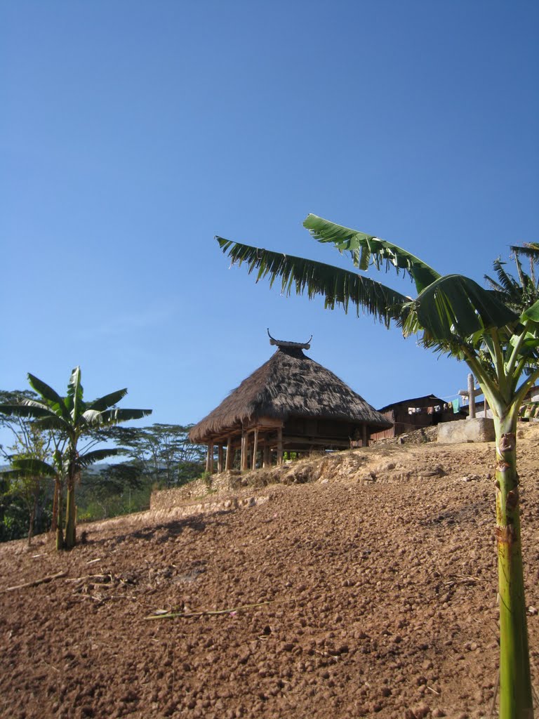 Traditional house that has a great view over Dili by GerardNL