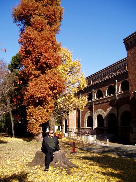 Hitotsubashi Gakuen University by geb monteza