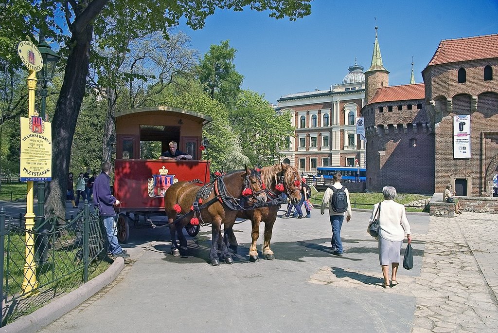 Horse tram by gmg61