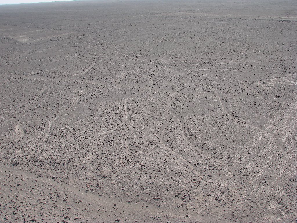 Líneas Nazca - Árbol by Rothgar