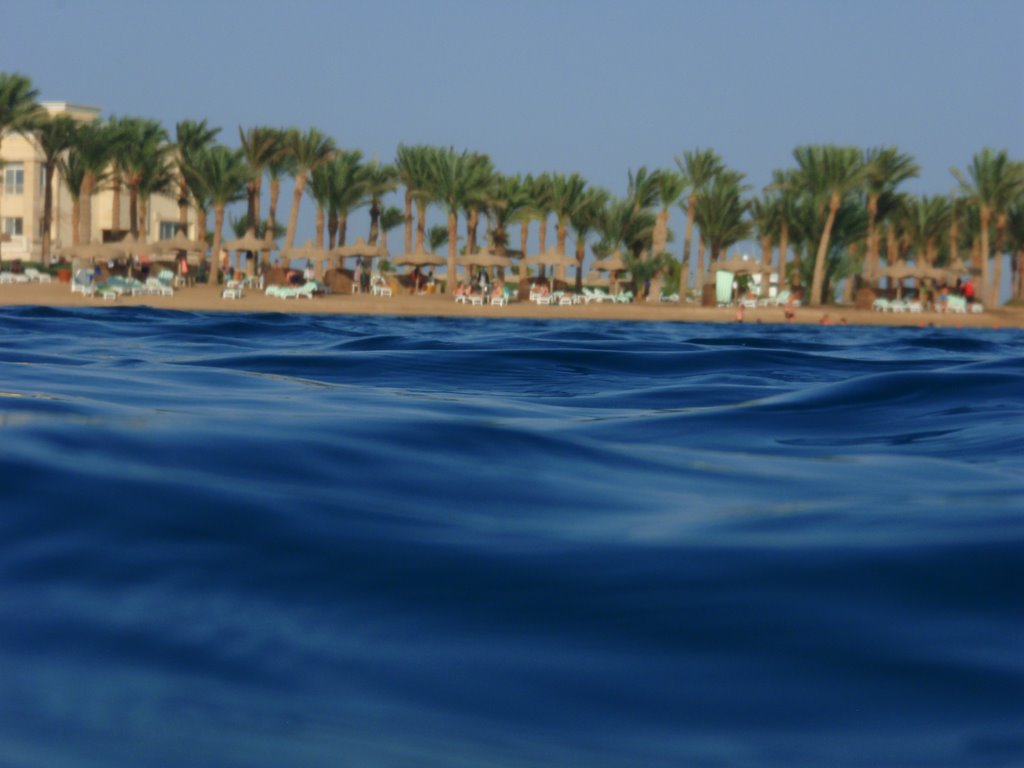 Beach of Intercontinental Abu Soma by Okeana