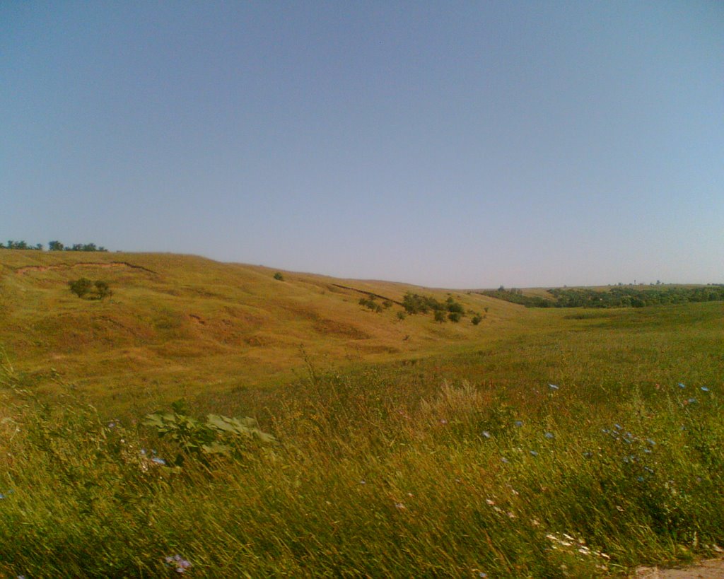 Steppe near Savala river, Voronezh region, Russia by Anatoliy Gerasimov