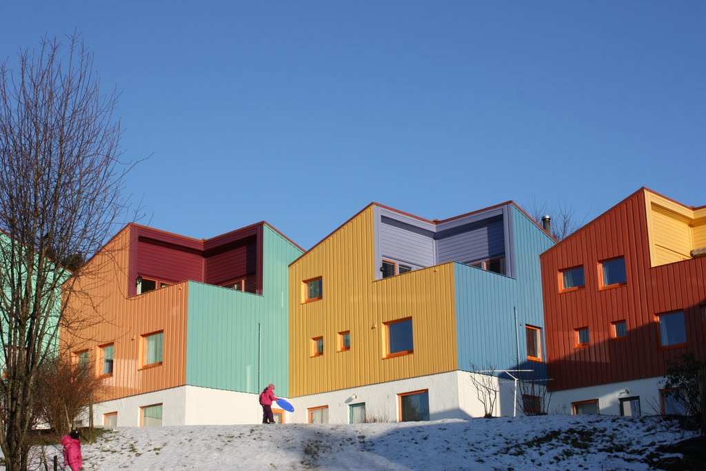 Colorful houses in january sunshine by Mona Lygre