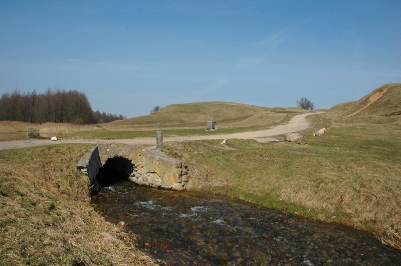 Small bridge over the Rospuda river, Filipów by Arthur van Beveren