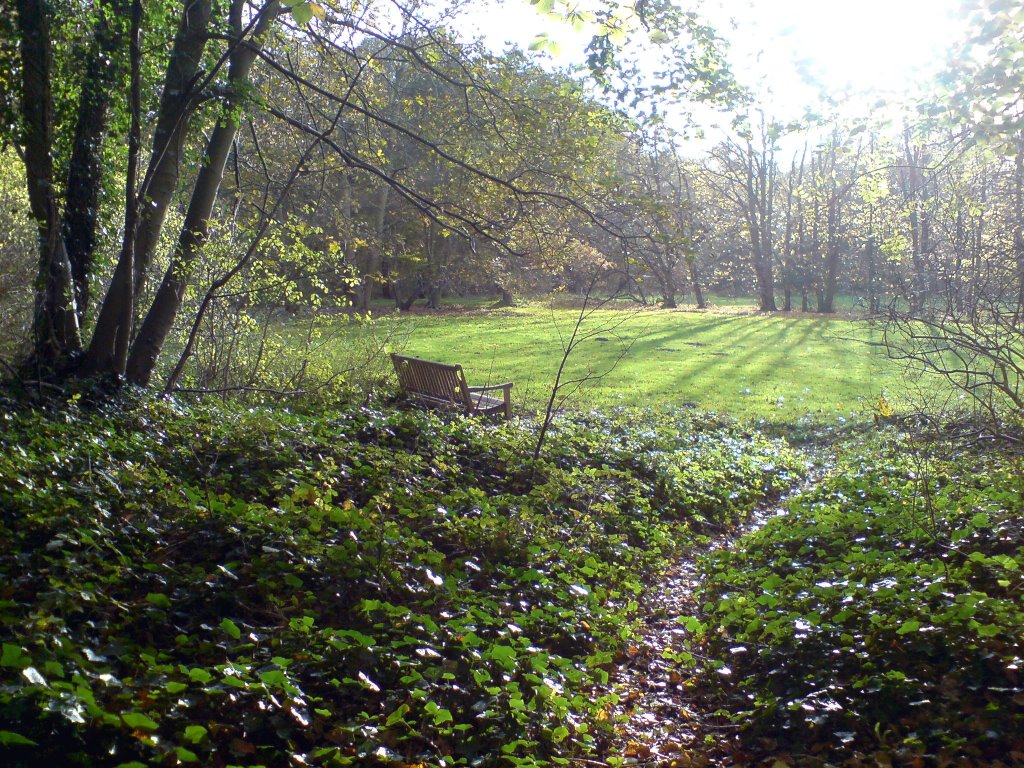 Sun, grass, bench by Xedor.