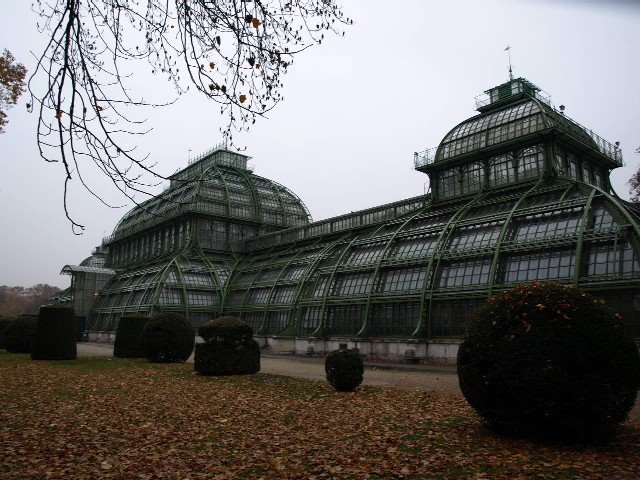 Schönbrunn/Palmenhaus/2007.Nov.06 by T-Yo