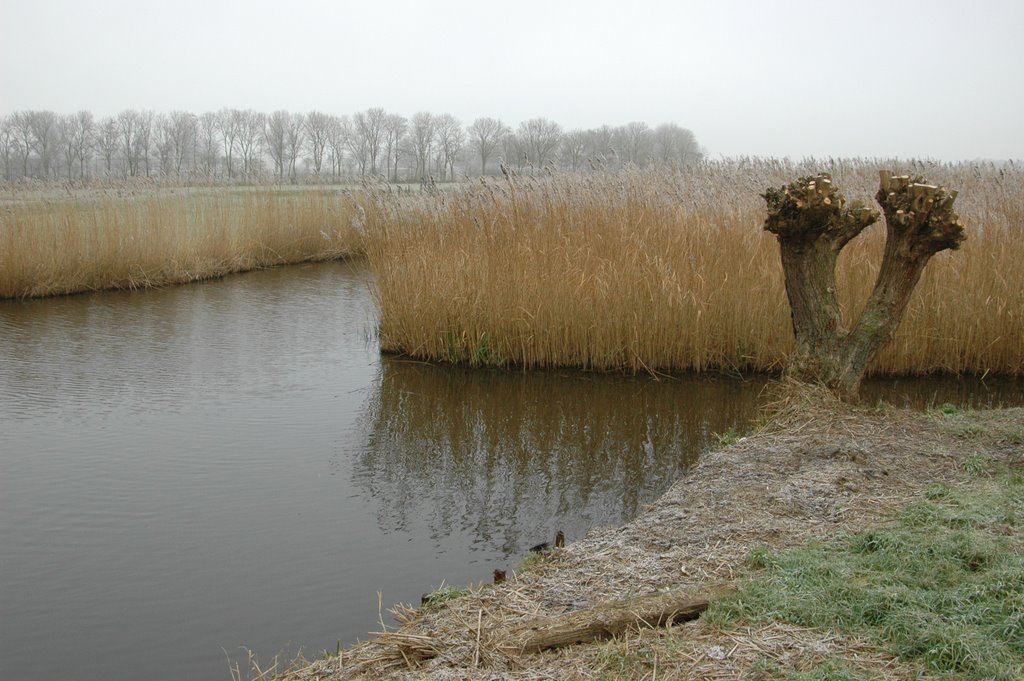 Akersloot in de nevel 3 by Ben de Graaf Bierbrauwer