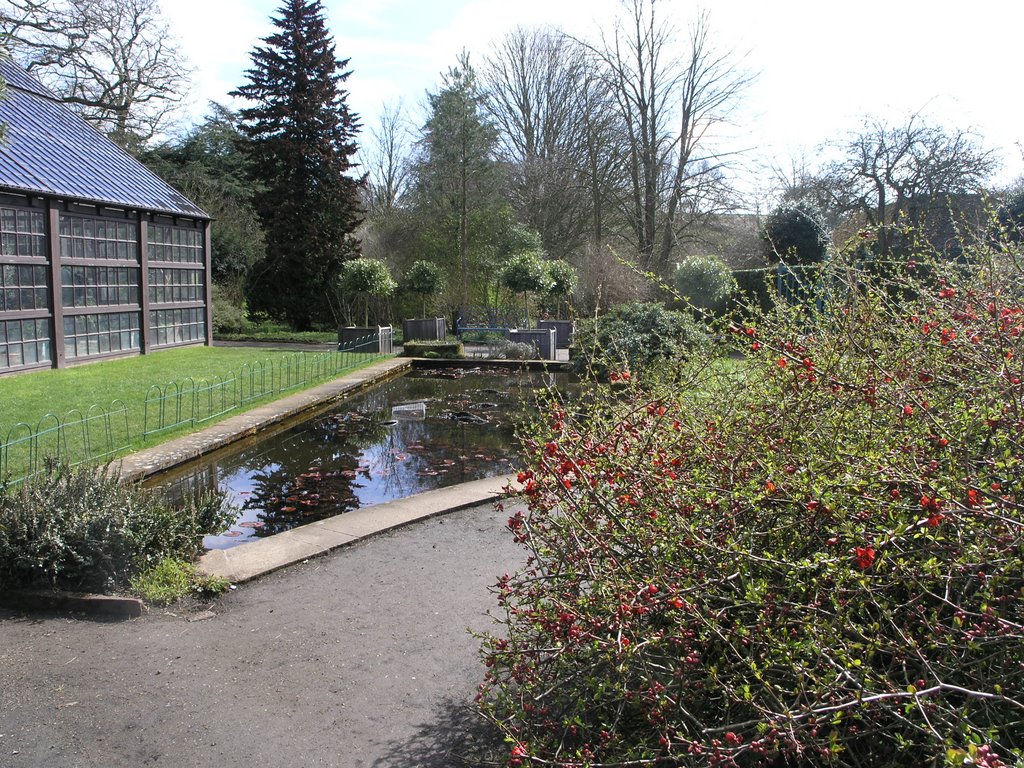 Lily Pond - Hidcote Garden by Derek Bull