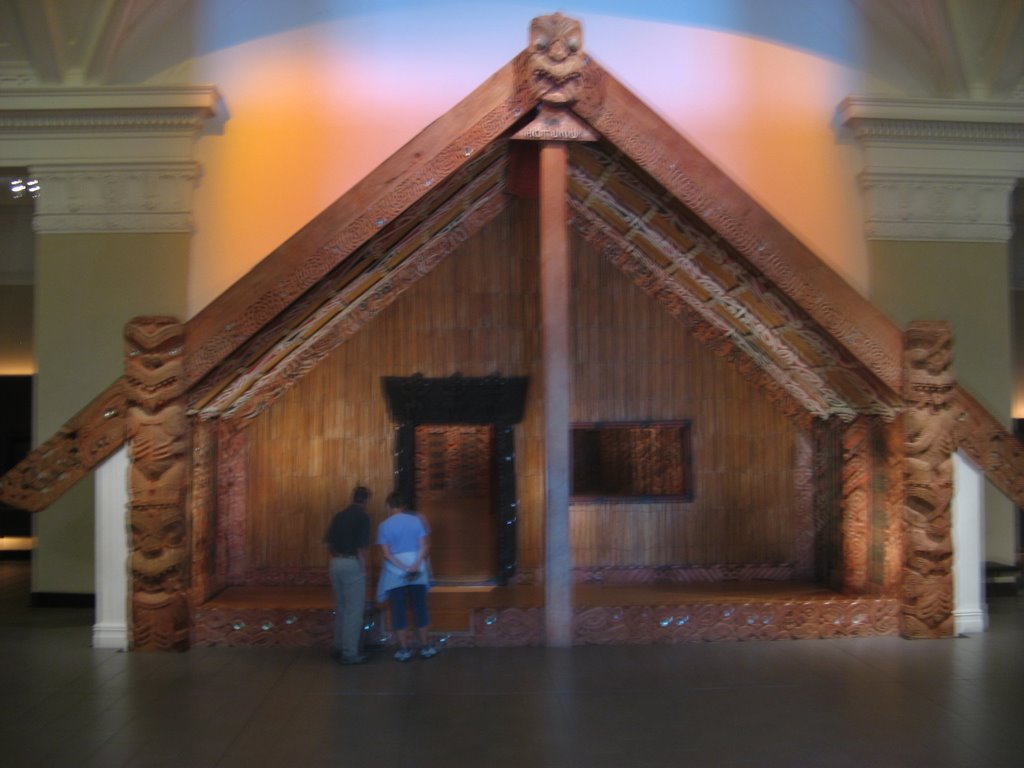 Hotunui Auckland Museum by Pierre Beautrais