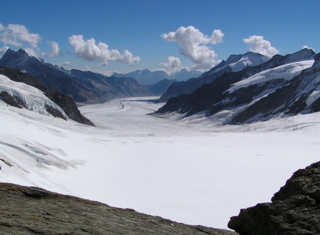 Konkordiaplatz, grosser Aletschgletscher by Ernst Johner