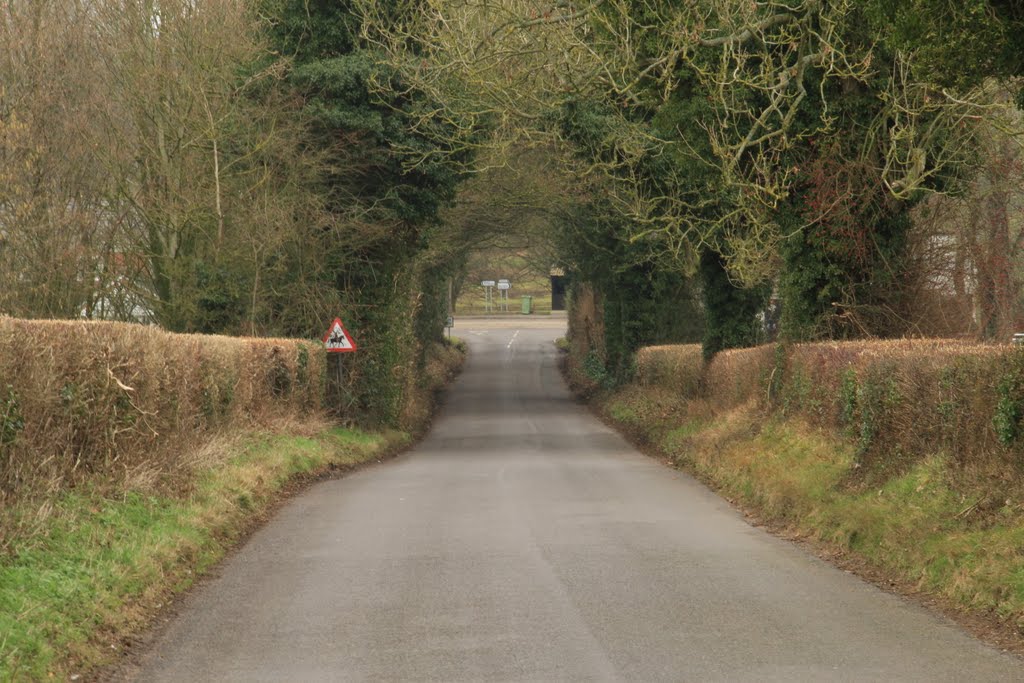 View down the road to Penton Mewsey by SBower