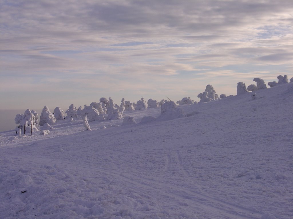 Harz - Brocken by Ben de Graaf Bierbra…