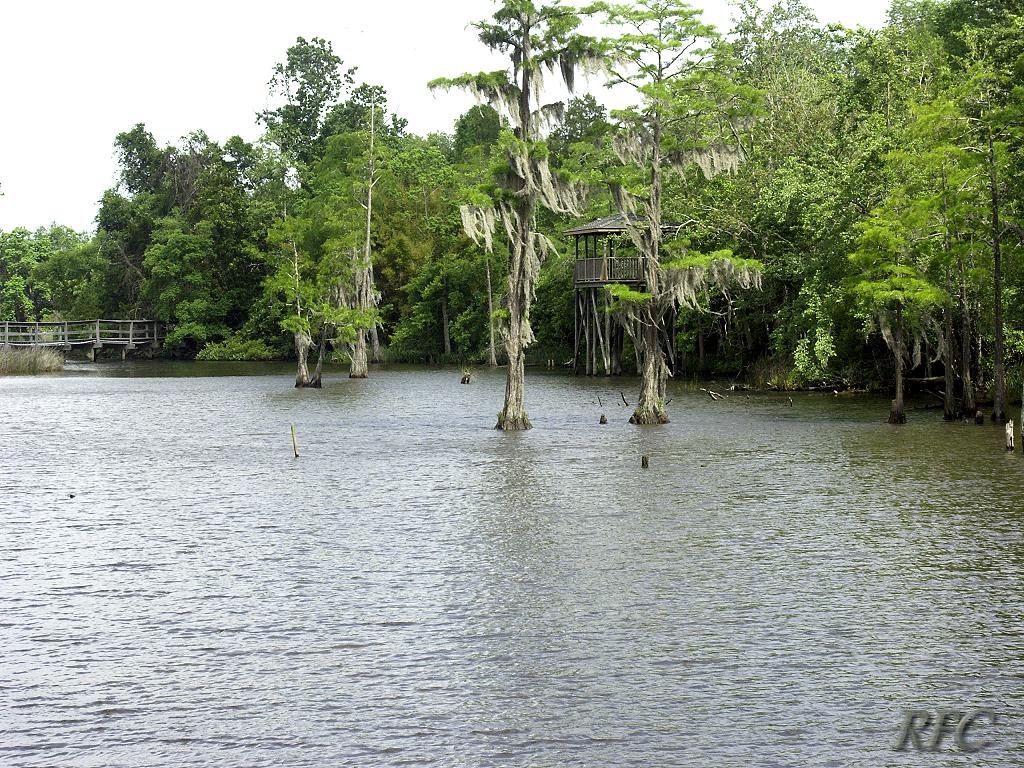 Bellingrath Gardens by Richard Cram