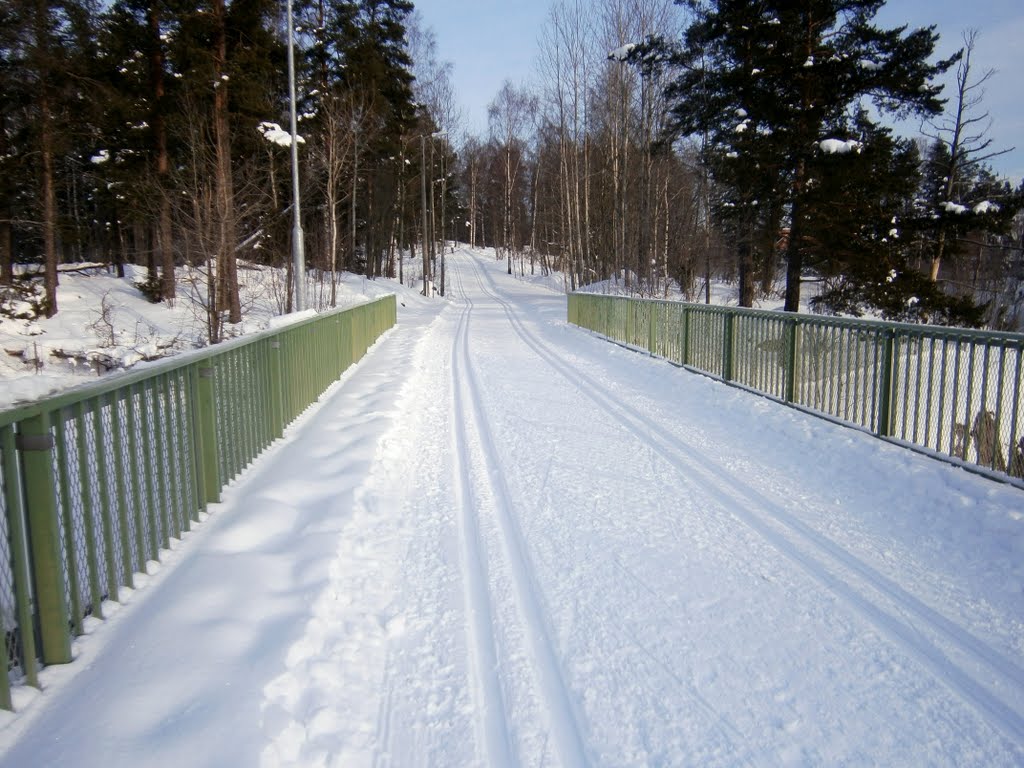 Viikintie bridge on a skiing route (Länsi-Herttoniemi, Helsinki, 20120129) by RainoL