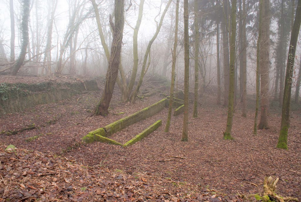 Lost Gardens of Sint-Jansberg by Laura Fokkema