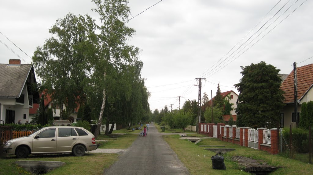 Balatonmáriafürdő, Virág B. utca by hrvth