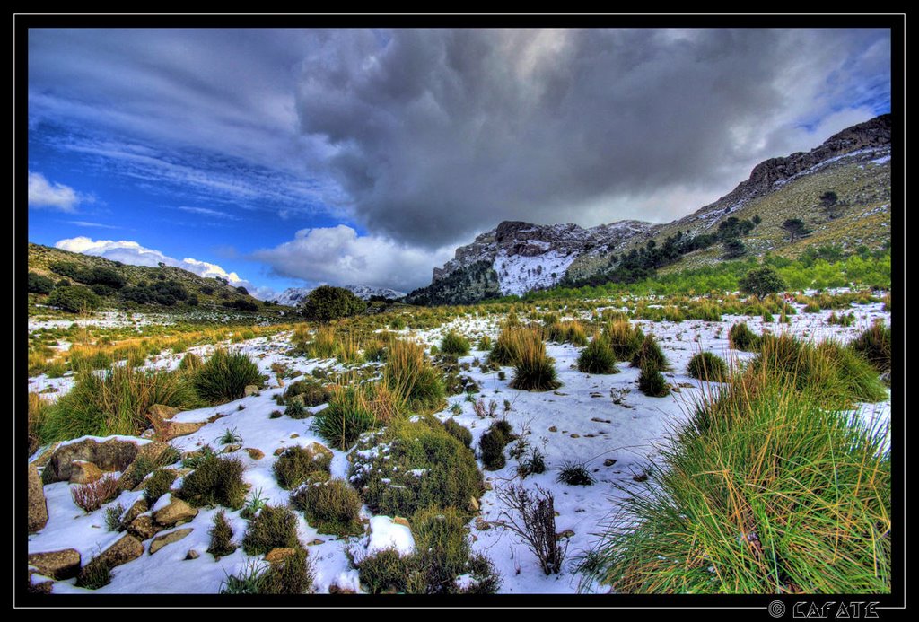 Nevada a sa Tramuntana - Mallorca - Buy a print in - http://cafate.blogspot.com/ by © Cafate