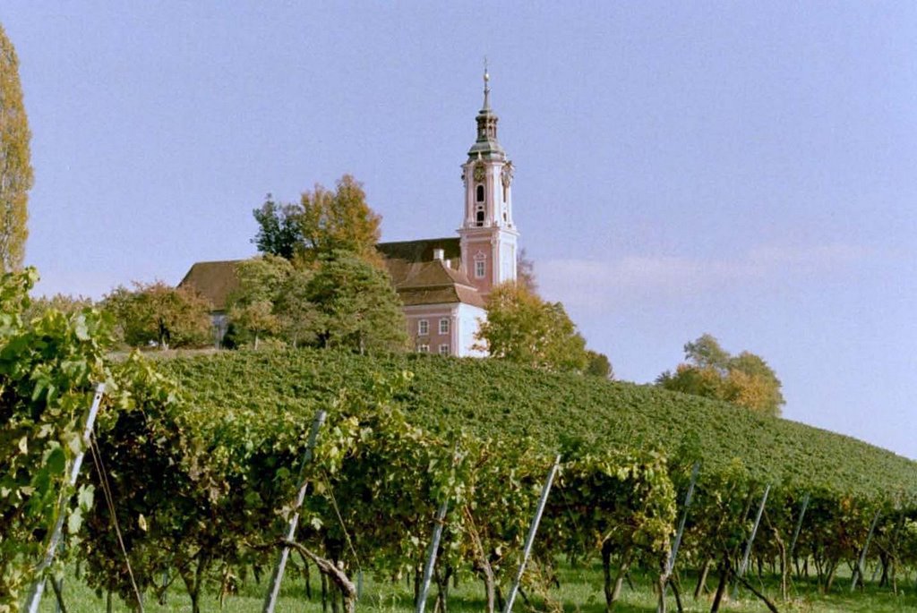 Klosterkirche Birnau by Wolfgang Schäfer