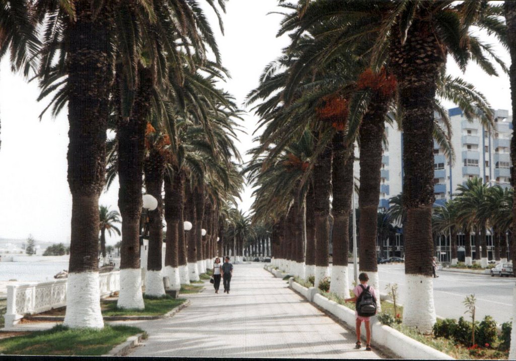 La plage-promenade- by Karim Grayaa