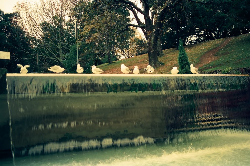 Birds in the park (1988) by Piboon Boonsong