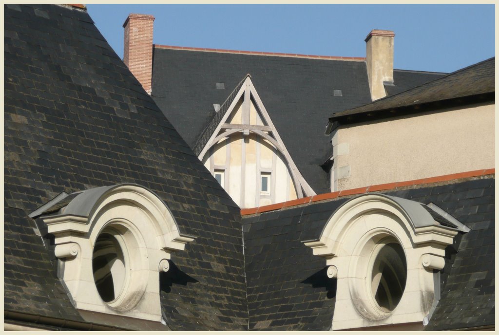 cloître Toussaint, Angers by Pom-Panoramio? YES !